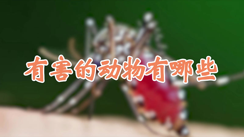 有害的动物有哪些