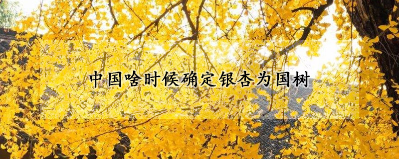 中国啥时候确定银杏为国树