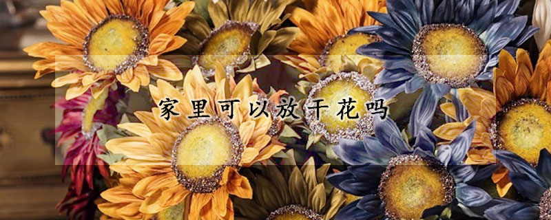 家里可以放干花吗