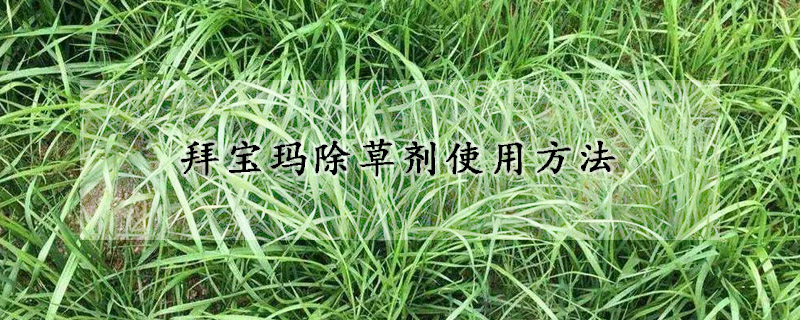 拜宝玛除草剂使用方法