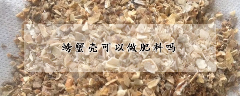 螃蟹壳可以做肥料吗