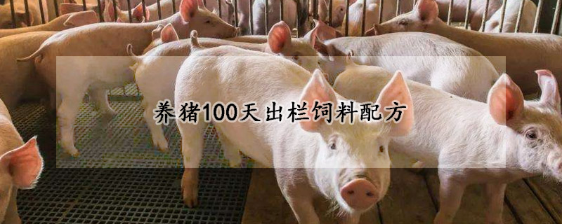 养猪100天出栏饲料配方