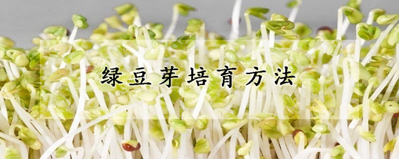 绿豆芽培育方法