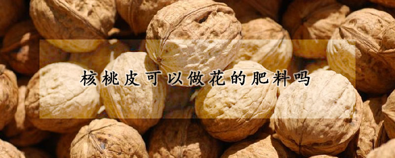 核桃皮可以做花的肥料吗