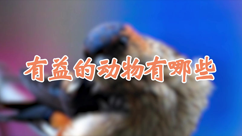 有益的动物有哪些