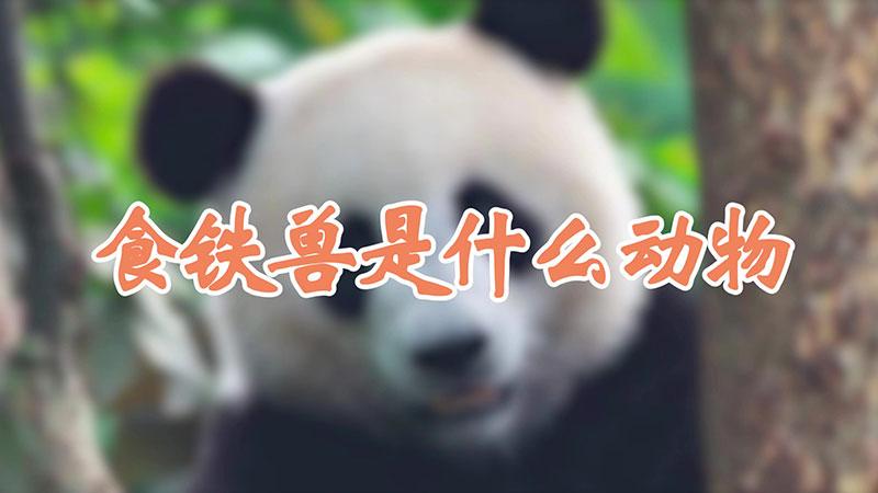 食铁兽是什么动物