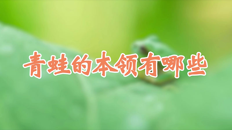 青蛙的本领有哪些