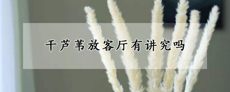 干芦苇放客厅有讲究吗