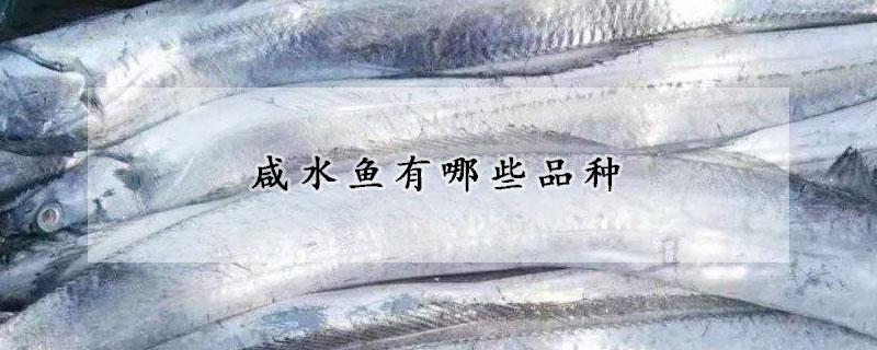 咸水鱼有哪些品种