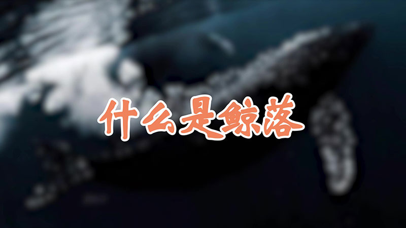 什么是鲸落