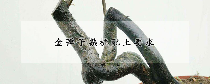 金弹子熟桩配土要求