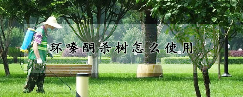 环嗪酮杀树怎么使用