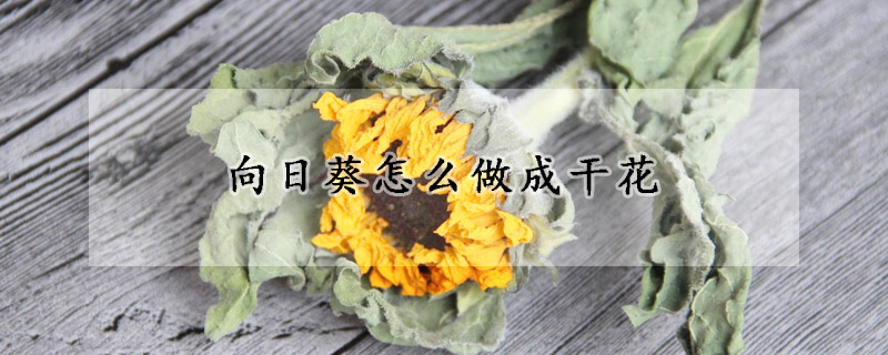 向日葵怎么做成干花