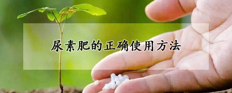 尿素肥的正确使用方法