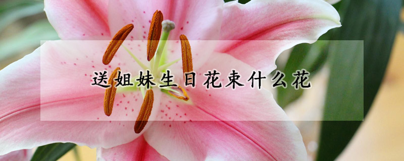 送姐妹生日花束什么花