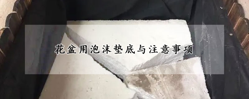 花盆用泡沫垫底与注意事项