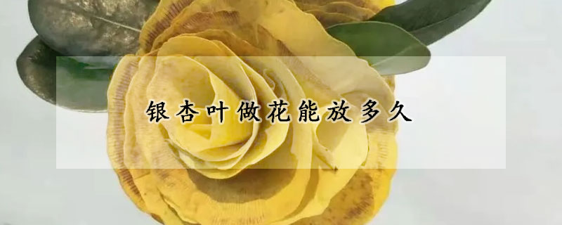银杏叶做花能放多久