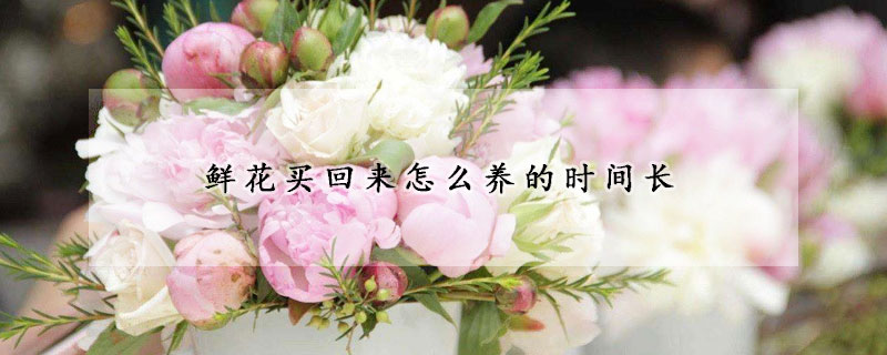 鲜花买回来怎么养的时间长