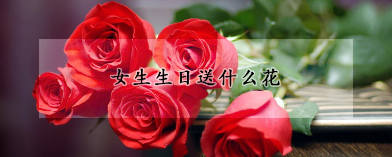 女生生日送什么花