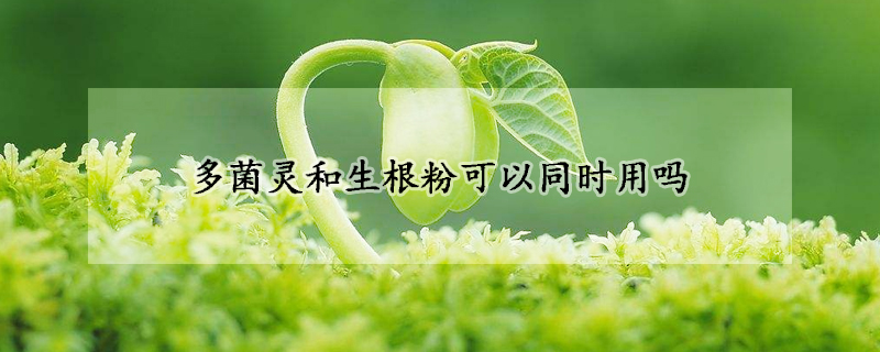 多菌灵和生根粉可以同时用吗