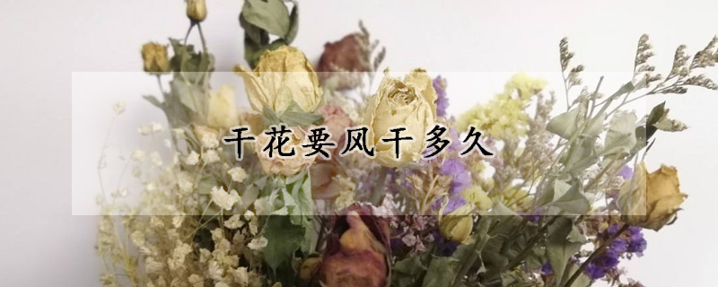 干花要风干多久