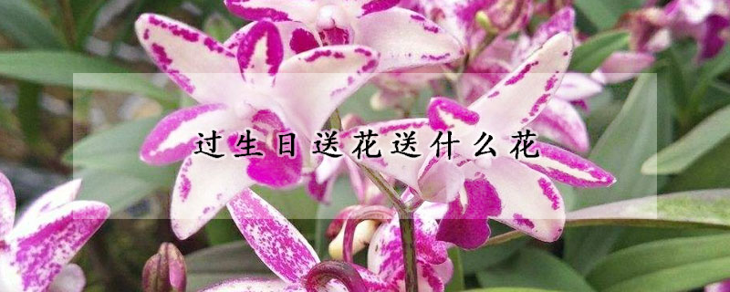 过生日送花送什么花