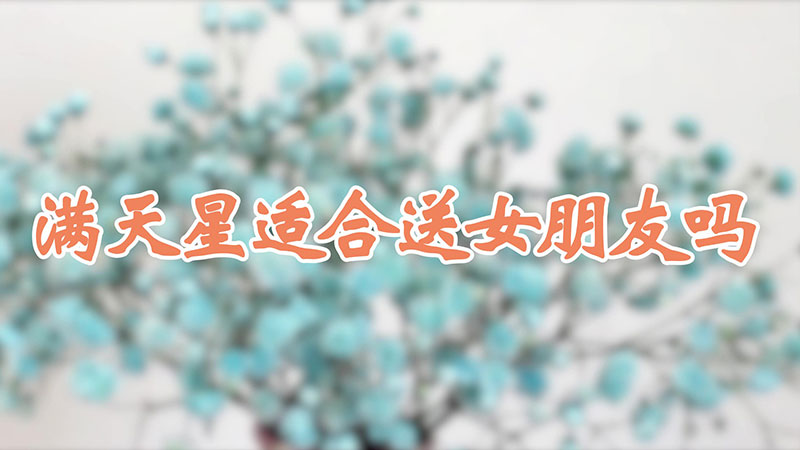 满天星适合送女朋友吗