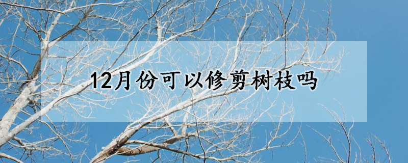 12月份可以修剪树枝吗