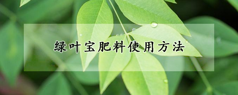 绿叶宝肥料使用方法