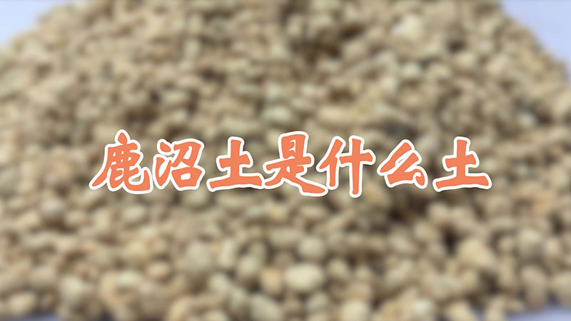 鹿沼土是什么土