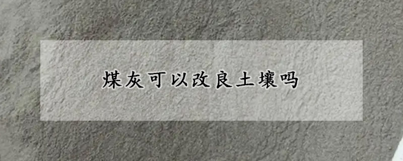 煤灰可以改良土壤吗