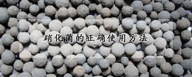 硝化菌的正确使用方法