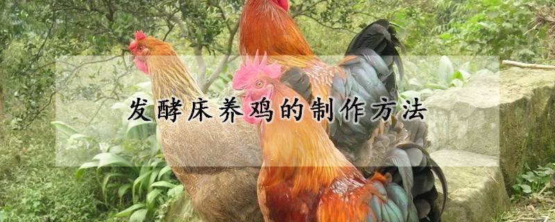 发酵床养鸡的制作方法