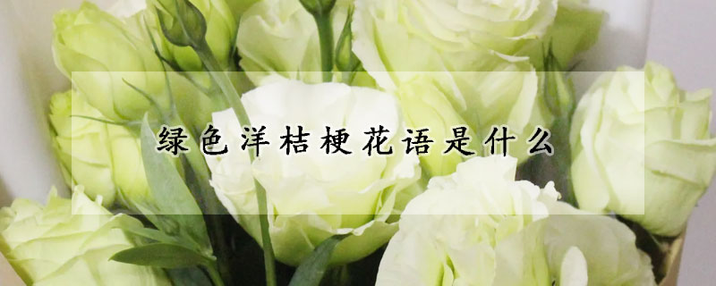 绿色洋桔梗花语是什么