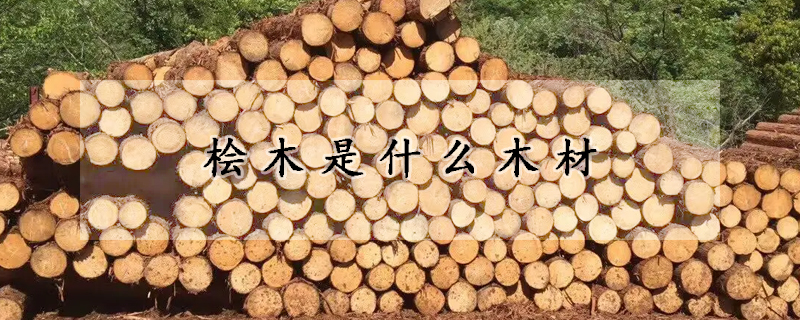 桧木是什么木材