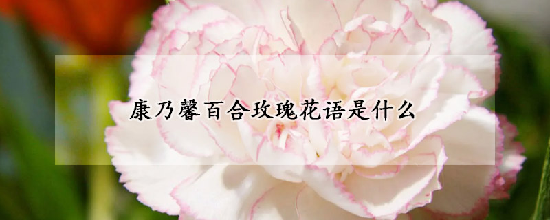 康乃馨百合玫瑰花语是什么