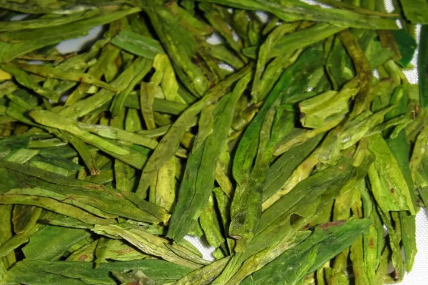 杭州龙井是绿茶吗 杭州龙井属于什么茶