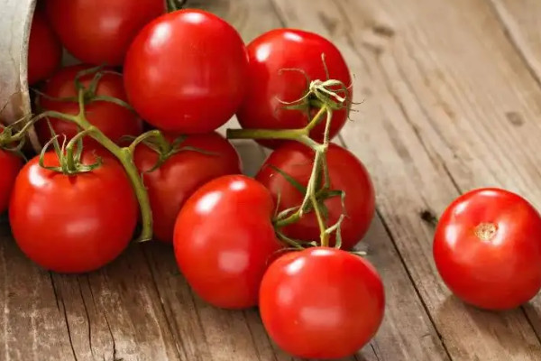 小西红柿品种