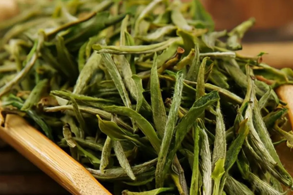 黄山毛峰是绿茶吗 毛峰黄山属于什么茶