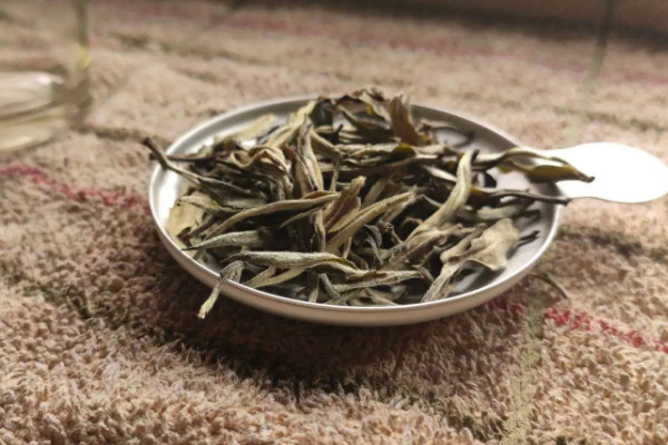 白茶是绿茶还是乌龙茶 白茶是什么茶