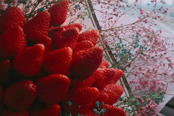 送草莓花束的含义