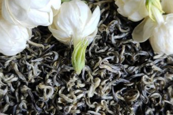 茉莉花茶有几种 茉莉花茶都有哪些品种
