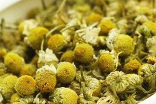 胎菊茶和菊花茶一样吗 胎菊茶和菊花茶有什么区别