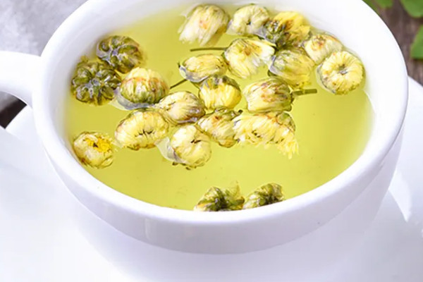 胎菊茶和菊花茶一样吗 胎菊茶和菊花茶有什么区别