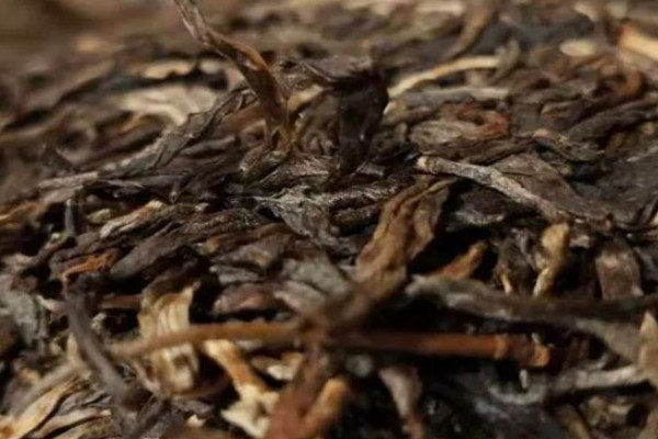 普洱茶生茶与熟茶有什么区别 普洱茶生茶与熟茶的区别