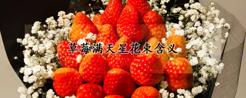 草莓满天星花束含义