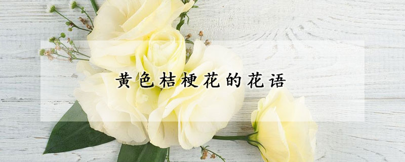 黄色桔梗花的花语