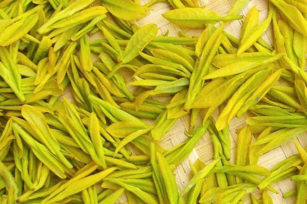 黄茶有哪些品种 黄茶包括哪些茶叶品种
