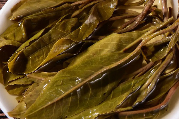 黄茶属于什么茶 黄茶是哪种茶
