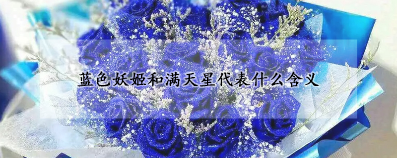 蓝色妖姬和满天星代表什么含义